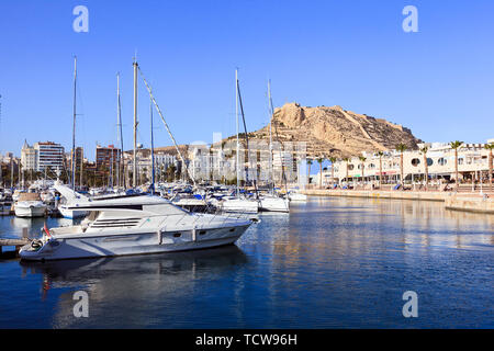 Boote in der Marina im Hafen von Alicante unterhalb der Burg, Spanien Stockfoto