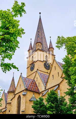 Lutherische Kathedrale der Heiligen Maria (Catedrala Evanghelica C.A. Sfanta Maria) in Sibiu, Rumänien, vertikale Sicht auf den Aussichtsturm, von grünen gerahmt Stockfoto