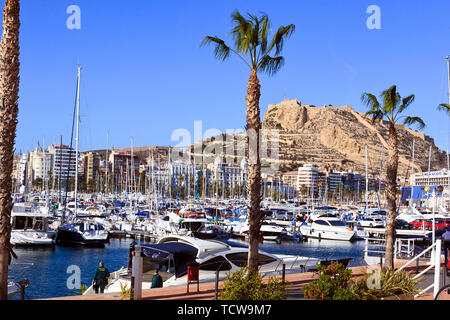 Boote in der Marina im Hafen von Alicante unterhalb der Burg, Spanien Stockfoto