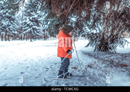 Kleine Junge ist 3-4 Jahre alt, Ski Winter's Kinder erste Schritte Skier, aktive Bild der Kinder. Hintergrund Schneeverwehungen Bäume. Freier Speicherplatz lernen Stockfoto