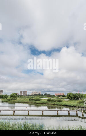 Lakeside Bau grüner Raum doubles bei bewölktem Wetter Stockfoto