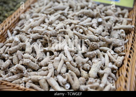 Citi Ginseng, Amerikanischer Ginseng Stockfoto