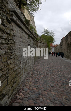 Mauer in Tallinns „Altstadt“, Estland Stockfoto