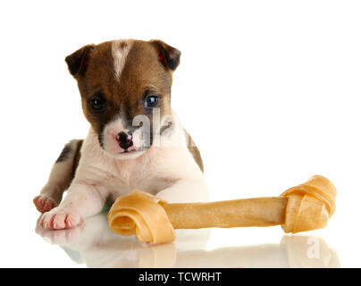 Schöne kleine Welpen mit Stein isoliert auf weißem Stockfoto
