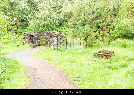 Alte Ruinen der alten Nebel Haus oder Grotte in der Mitte der Parkhill Holz in Lochwinnoch Schottland gelegen. Einmal als Art der Sommerhaus und wa verwendet Stockfoto