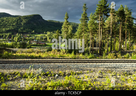 Landschaft der Zentral-südlichen Norwegen im Sommer, gesehen vom Oslo-Railway, eine der landschaftlich schönsten Eisenbahnen in Europa Stockfoto