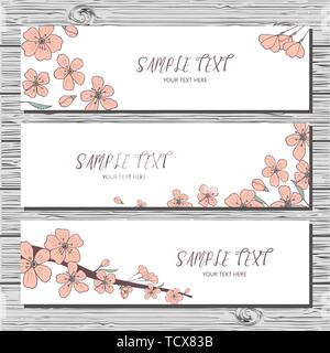 Drei horizontale Karte mit handgezeichneten sakura Zweig und Sakura Blumen auf weißem Hintergrund. Spring Time Banner. Stock Vektor