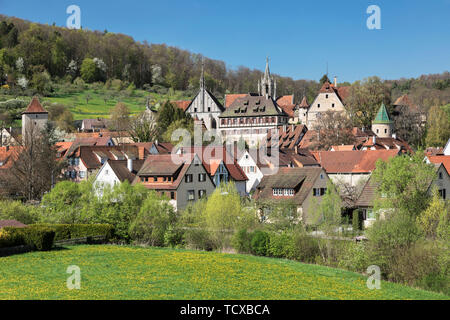 In der Nähe von Kloster Bebenhausen Tübingen, Schoenbuch Naturpark, Baden-Württemberg, Deutschland, Europa Stockfoto
