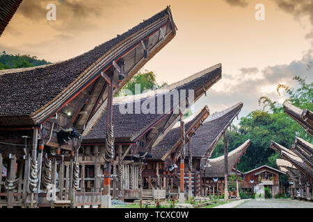 Ein reisanbau Dorf mit traditionellen Torajan Tongkonan lange Häuser, Tana Toraja, Sulawesi, Indonesien, Südostasien, Asien Stockfoto