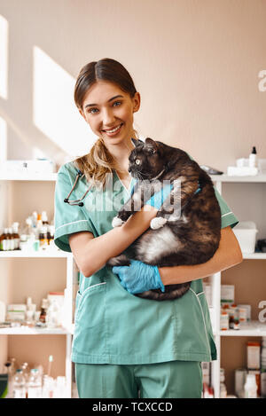 Ich liebe alle meine Patienten! Lächelnd weibliche Berufsbildung Holding einen großen schwarzen flauschige Katze in den Händen, lächelnd und mit Kamera, während in der tiermedizinischen Ständigen Stockfoto