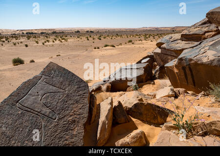 Prähistorische Felszeichnungen in der Nähe der Oase der Taghit, westlichen Algerien, Nordafrika, Afrika Stockfoto