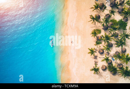Luftaufnahme von Sonnenschirmen, Palmen am Sandstrand und Kajaks Stockfoto