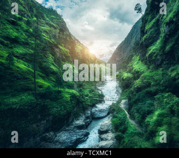 Schöne Berge bedeckt grünes Gras bei Sonnenuntergang. Landschaft Stockfoto