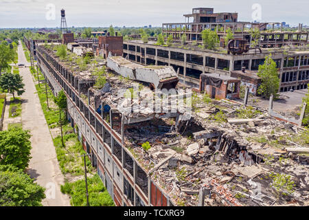 Detroit, Michigan - ein Wald von Bäumen wächst auf dem Dach der alten Packard Anlage. 1903 eröffnet, die 3,5 Millionen Quadratmeter Werk beschäftigt 40.000 nicht Stockfoto