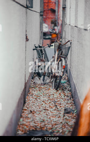 Alte Fahrräder Stockfoto