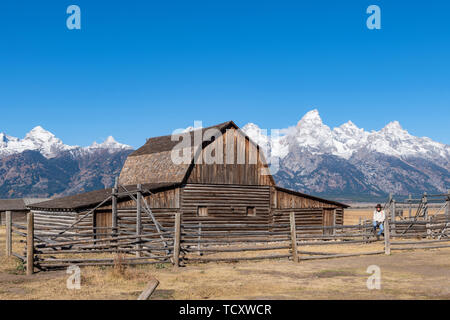 Mormon Zeile und Teton Range, Grand Teton National Park, Wyoming, Vereinigte Staaten von Amerika, Nordamerika Stockfoto