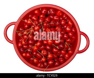 Süßkirschen, frisch geerntet Home gewachsen und organisch. Nicht alle 100 perfekt, aber herrlich süß und gesund. In Rot auf Weiß collander, isoliert. Stockfoto