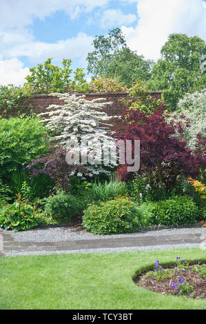 Holehird Gardens ist eine umfangreiche, 10 Hektar großen Gelände in der Nähe von Windermere, Cumbria, England. Es ist die Heimat der Lakeland Gartenbaugesellschaft Stockfoto