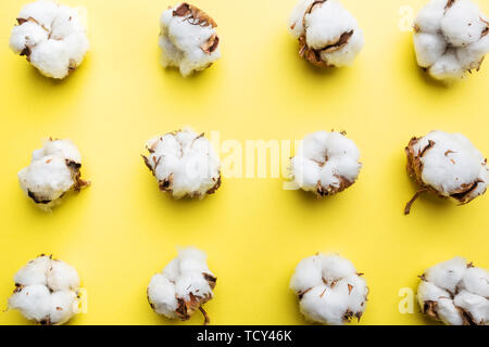 Baumwolle Blumen in der Hand auf bunten hellen gelben Hintergrund, Ansicht von oben, flach Stockfoto