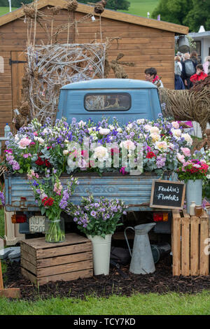 Freddies blumen Anzeige an RHS Chatsworth Flower Show 2019. Chatsworth, Derbyshire, Großbritannien Stockfoto