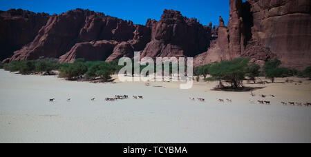 Panorama im Inneren Canyon aka Guelta d'Archei, Osten Ennedi, Tschad Stockfoto