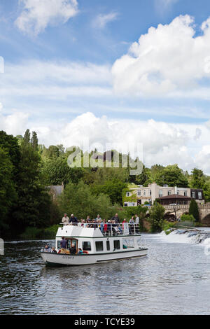 Der Fluss Avon an Bathampton Mühle, mit einem Boot voller Touristen aus Badewanne an einem sonnigen Sommertag im Juni, Somerset, England Großbritannien Stockfoto