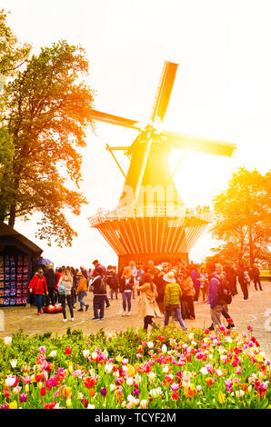 Keukenhof, Niederlande - bunte Tulpen mit Windmühle in den Hintergrund und die Touristen zu Fuß in die Gärten. Gegen orange Sonnenlicht genommen. Beliebten niederländischen Touristen vor Ort. Holland Konzept. Stockfoto