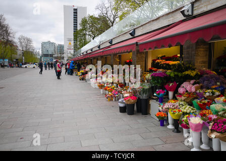 Ein Blumenmarkt in der Viru Straße in der Altstadt von Tallinn, Estland. Stockfoto