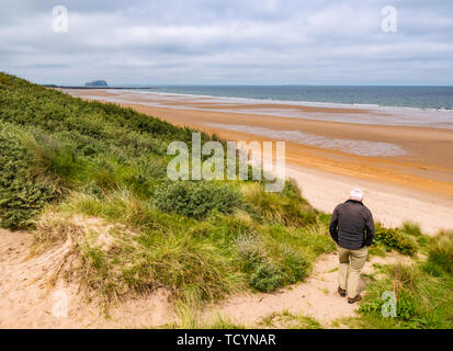 Ältere Menschen auf dem Weg in seabuckthorn Büsche in den Sand dune, tyninghame Strand, East Lothian, Schottland, Großbritannien Stockfoto