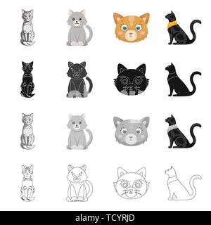 Weiß, sitzend, Sphinx, Tier, Charakter, Rasse, Pet, sphynx, Siam, Spaß, Schwanz, niedlich, Cat, Gesicht, Kätzchen, Lächeln, Set, Vector, Icon, Illustration, isoliert, Sammlung, Design, Element, Grafik, Zeichen, Vektor, Vektoren, Stock Vektor