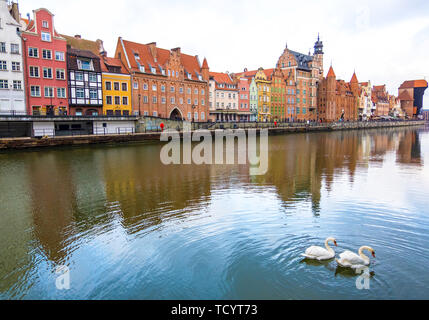 Danzig, Polen - Februar 06, 2019: Blick auf die historischen Waterfront der Danziger Innenstadt und Swan Paar auf der Mottlau. Danzig, Polen Stockfoto