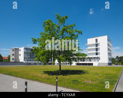 DESSAU, Deutschland - ca. Juni 2019: Das Bauhaus kunst schule ikonischen Gebäude von Architekt Walter Gropius 1925 entworfen Stockfoto