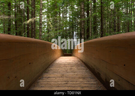 Low Angle View der modernen Holz- Brücke im Redwood Forest Stockfoto