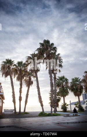 Palmen gegen die untergehende Sonne am Strand in Almunecar Spanien Stockfoto