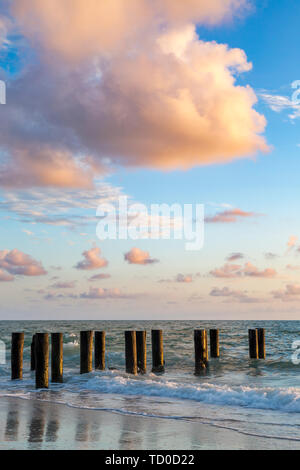 Alte pier Pilings bei Sonnenuntergang über dem Golf von Mexiko, Naples, Florida, USA Stockfoto