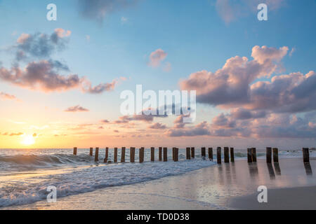 Alte pier Pilings bei Sonnenuntergang über dem Golf von Mexiko, Naples, Florida, USA Stockfoto