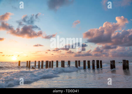 Alte pier Pilings bei Sonnenuntergang über dem Golf von Mexiko, Naples, Florida, USA Stockfoto