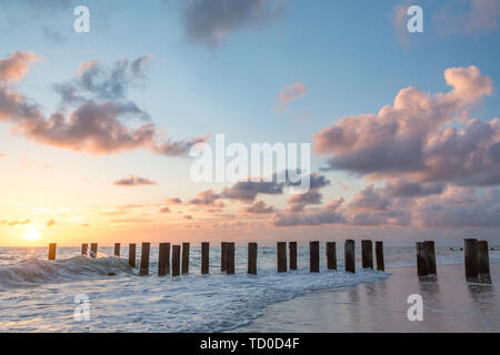 Alte pier Pilings bei Sonnenuntergang über dem Golf von Mexiko, Naples, Florida, USA Stockfoto