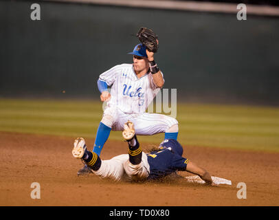 Los Angeles, CA, USA. 09 Juni, 2019. Michigan outfielder (22) Jordanien Brauer zweite Basis während der NCAA Superregionalen Spiel zwischen den Michigan Wolverines und der UCLA Bruins an Jackie Robinson Stadion in Los Angeles, Kalifornien stiehlt. Michigan besiegt UCLA 4-2. (Mandatory Credit: Juan Lainez/MarinMedia.org/Cal Sport Media) Credit: Csm/Alamy leben Nachrichten Stockfoto