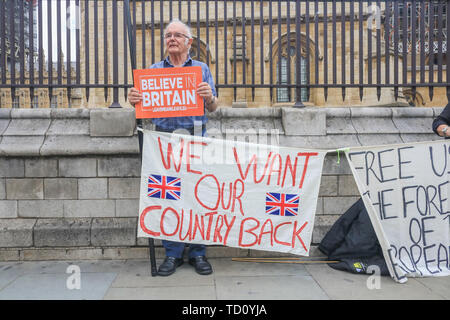 London, Großbritannien. 11 Juni, 2019. Die Demonstranten zugunsten der aus der Europäischen Union demonstrieren mit Brexit Partei Plakate außerhalb der Häuser des Parlaments als Partei der Arbeit bereitet eine interfraktionelle Motion eingereicht, um zu versuchen, einen künftigen Ministerpräsidenten durch eine nicht-deal Brexit gegen den Willen des MPs mit starken Quoten auf Pro Brexit frontrunner Boris Johnson gelingen Theresa May, die bevorzugt eine Kein Deal Credit: Amer ghazzal/Alamy Leben Nachrichten zu stoppen Stockfoto