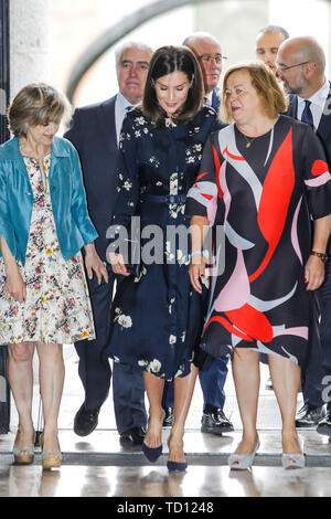 Madrid, Spanien. 11 Juni, 2019. Queen Letizia besucht UNICEF Awards 2019 am CSIC in Madrid, Spanien. Juni 11, 2019. Credit: Jimmy Olsen/Medien Punch *** Keine Spanien***/Alamy leben Nachrichten Stockfoto