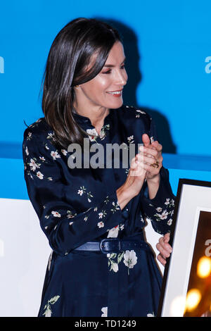 Madrid, Spanien. 11 Juni, 2019. Queen Letizia besucht UNICEF Awards 2019 am CSIC in Madrid, Spanien. Juni 11, 2019. Credit: Jimmy Olsen/Medien Punch *** Keine Spanien***/Alamy leben Nachrichten Stockfoto