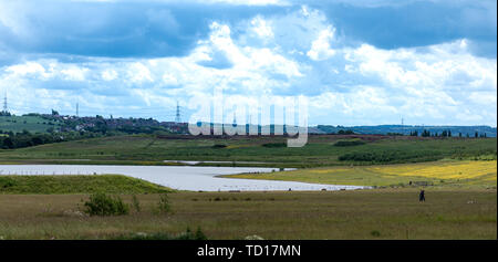 Anzeigen von Waverley See, Rotherham, South Yorkshire, UK. Im Juni 2019 getroffen Stockfoto