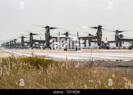 Us Marine Corps MV-22 B Fischadler mit Marine Medium Tiltrotor Squadron (VMM) 161, Marine Aircraft Group (MAG) 16, 3. Marine Flugzeugflügel (MAW), Vorbereitung des Marine Corps Air Station Miramar, Calif., 6. Juni 2019 zu fliegen. In eine dynamische Anzeige der Kampf, der sich über 40 Flugzeuge in der MAG-16 Massenflucht, die Flugzeuge präsentiert die taktischen Fähigkeiten und macht, dass der Marine Air Ground Task Force verwendet die Nation zu verteidigen. (U.S. Marine Corps Foto von Sgt. Sarah Ralph) Stockfoto