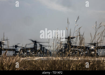 Us Marine Corps MV-22 B Fischadler mit Marine Medium Tiltrotor Squadron (VMM) 161, Marine Aircraft Group (MAG) 16, 3. Marine Flugzeugflügel (MAW), Vorbereitung des Marine Corps Air Station Miramar, Calif., 6. Juni 2019 zu fliegen. In eine dynamische Anzeige der Kampf, der sich über 40 Flugzeuge in der MAG-16 Massenflucht, die Flugzeuge präsentiert die taktischen Fähigkeiten und macht, dass der Marine Air Ground Task Force verwendet die Nation zu verteidigen. (U.S. Marine Corps Foto von Sgt. Jake McClung) Stockfoto