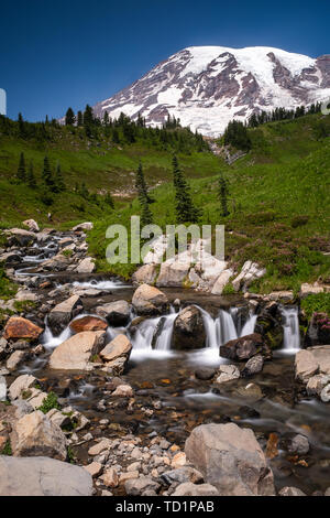 A snow capped mountain, Mount Rainier at spring time with a field of wildflowers in the foreground and a stream cascading over rocks, long exposure to smooth out the water, nobody in the image Stockfoto
