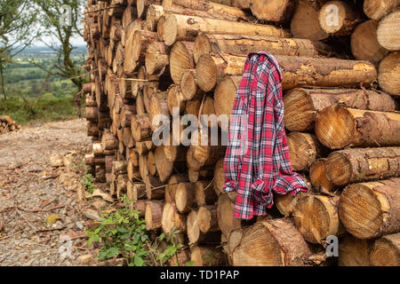 Ein Plaid Shirt auf einem Haufen frisch geschnittene Bäume angespannt Gestreifte von Niederlassungen und für die Säge Mühle Teil der Holzindustrie in Irland vorbereitet, niemand im Bild Stockfoto