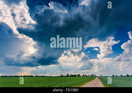 Cumuluswolken über strahlend blauen Himmel Stockfoto