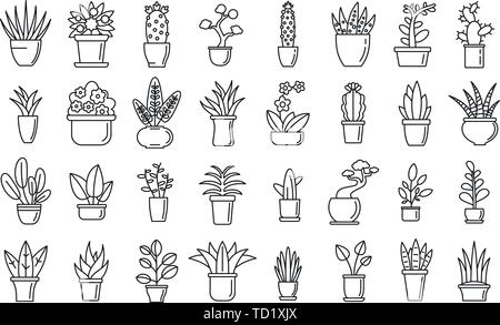 Houseplants flower Symbole gesetzt. Umrisse von zimmerpflanzen Blumen Vector Icons für Web Design auf weißem Hintergrund Stock Vektor