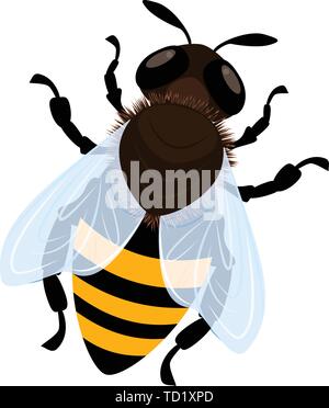 Bee Symbol. Cartoon von Biene vektor Symbol für Web Design auf weißem Hintergrund Stock Vektor